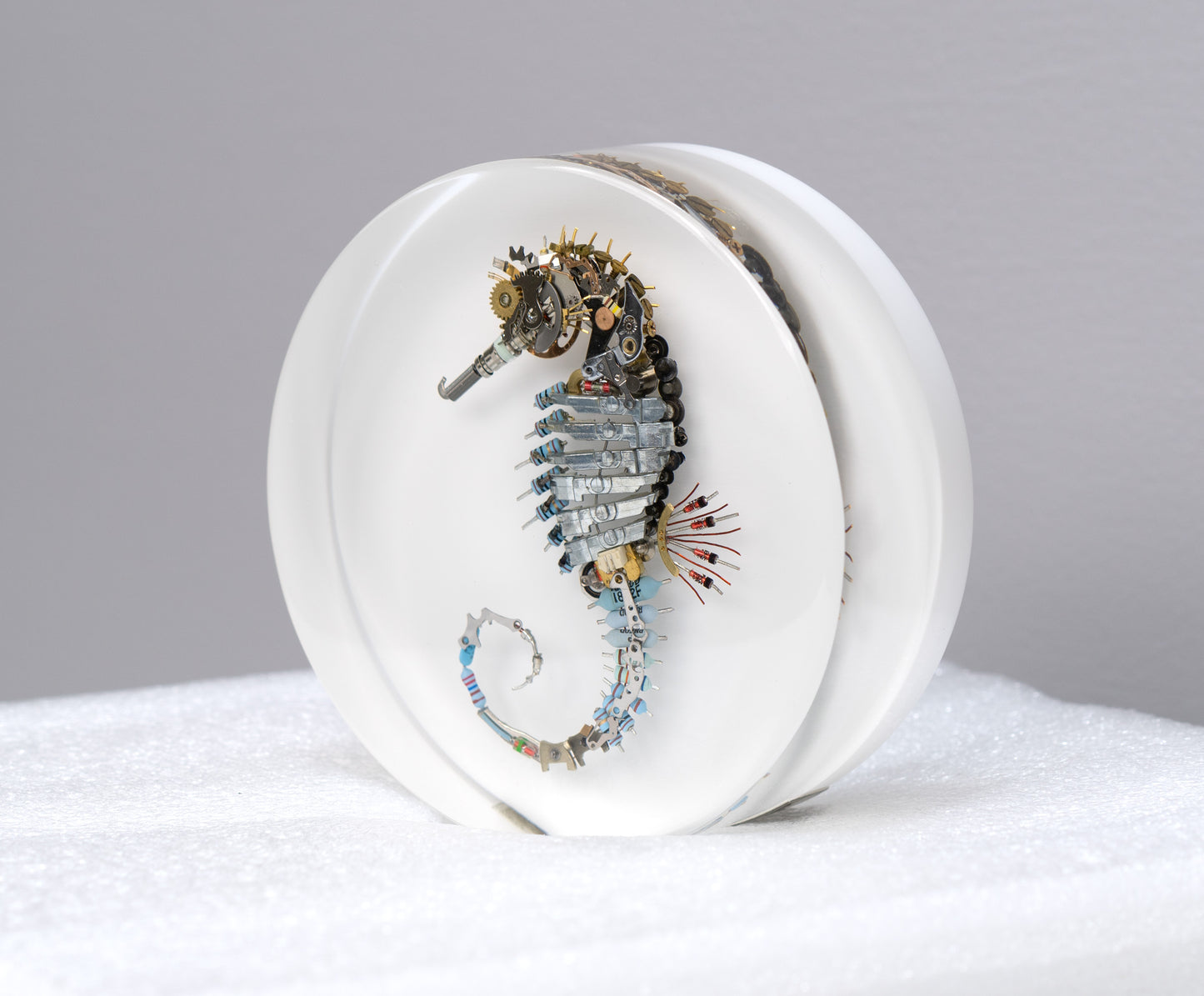Pneumatic Nozzle Seahorse, 2024