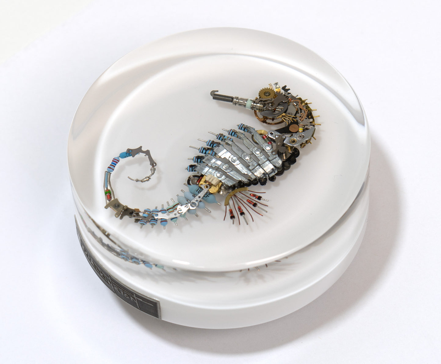 Pneumatic Nozzle Seahorse, 2024