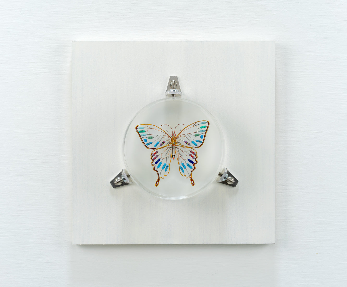 Golden Resist Swallowtail, 2024
