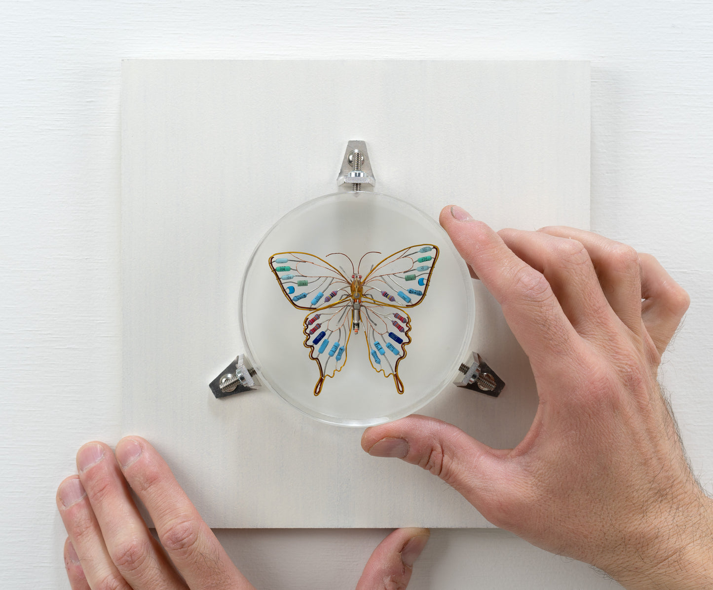 Golden Resist Swallowtail, 2024