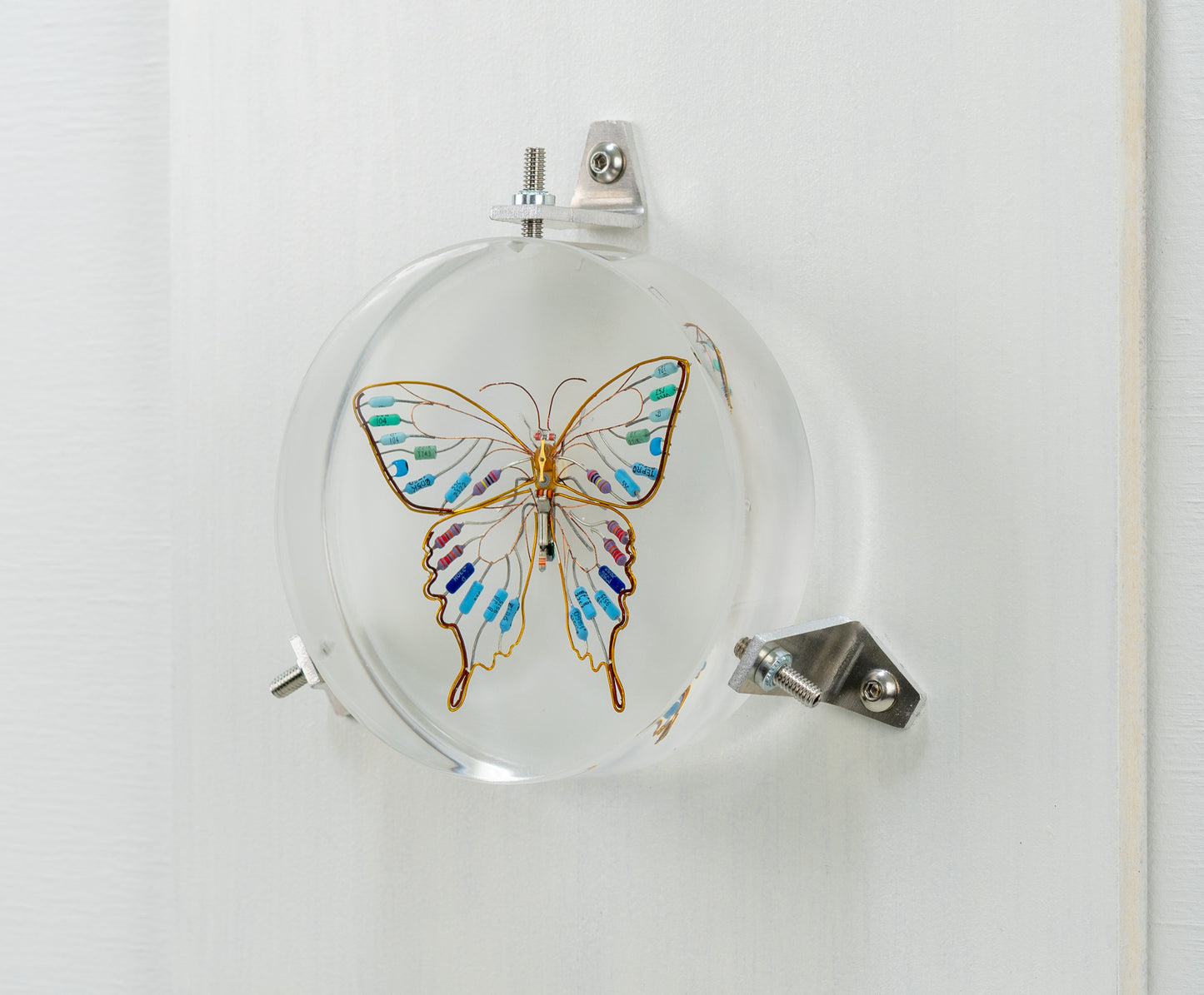 Golden Resist Swallowtail, 2024