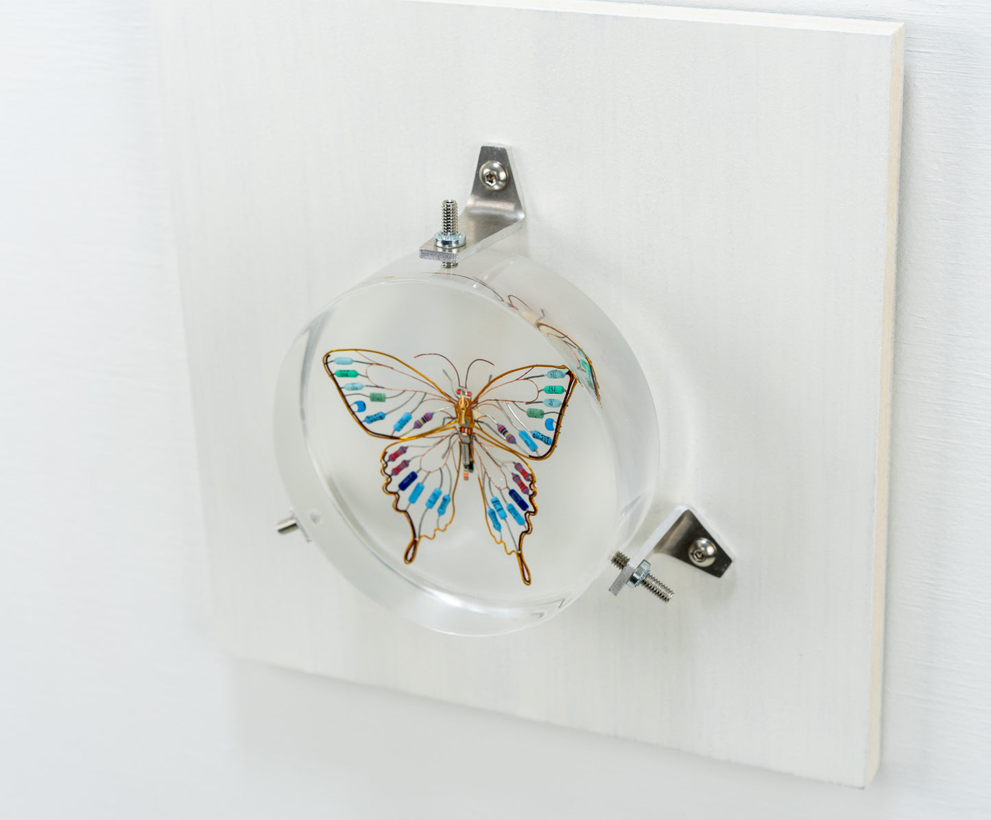 Golden Resist Swallowtail, 2024