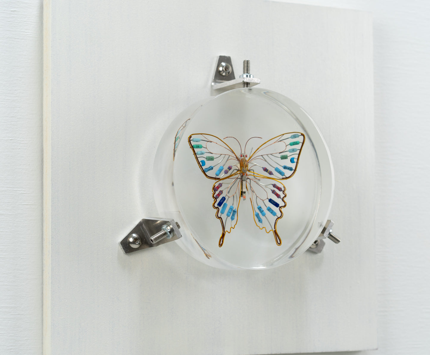 Golden Resist Swallowtail, 2024