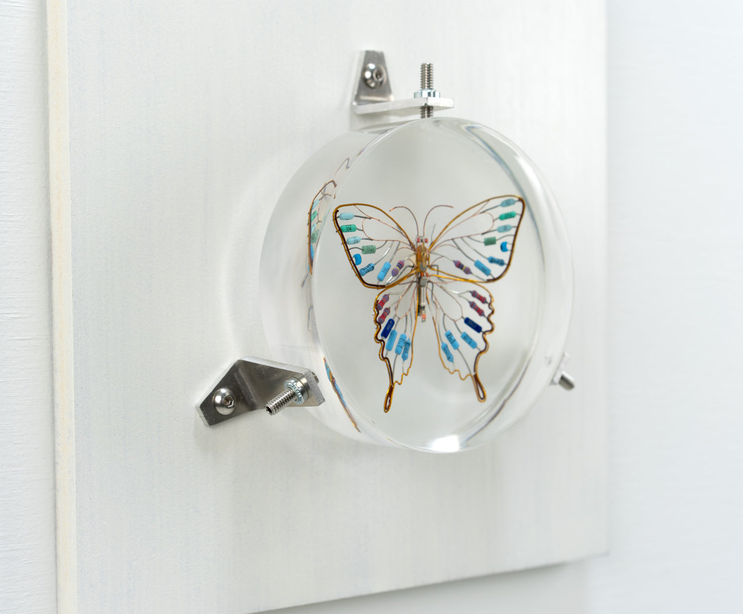 Golden Resist Swallowtail, 2024