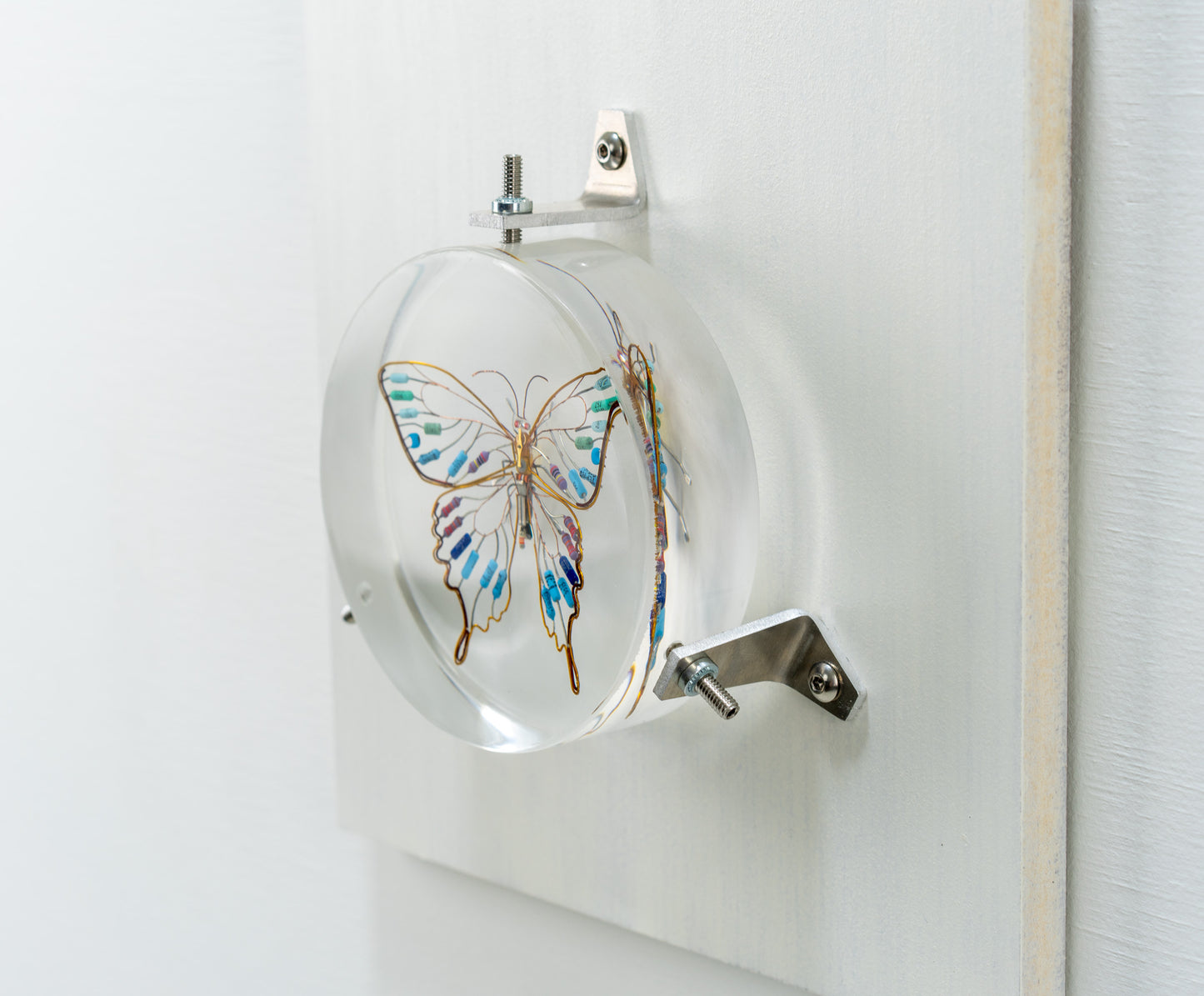 Golden Resist Swallowtail, 2024
