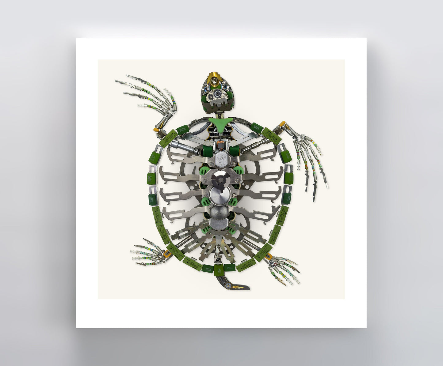 Sea Turtle Signed Fine Art Print (10 x 10)