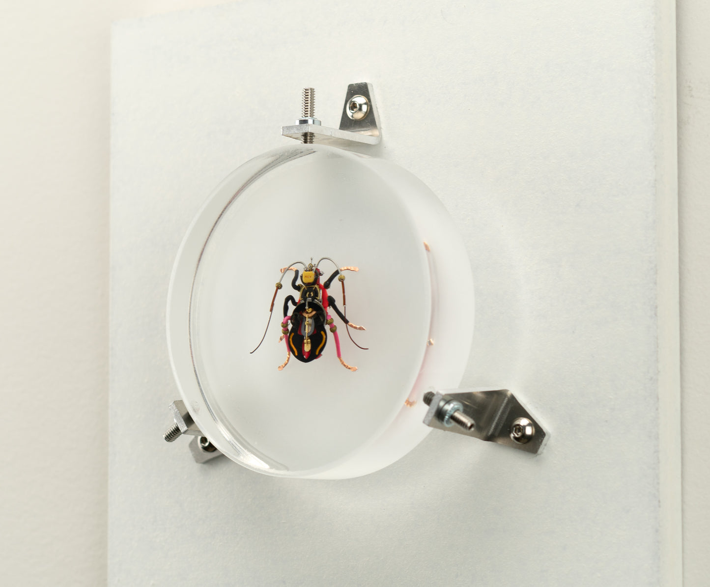 Violin Longhorn Beetle, 2023