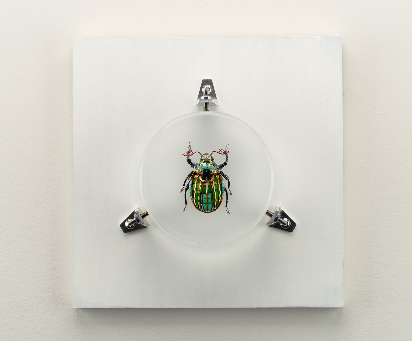 Waterfall Scarab, 2023