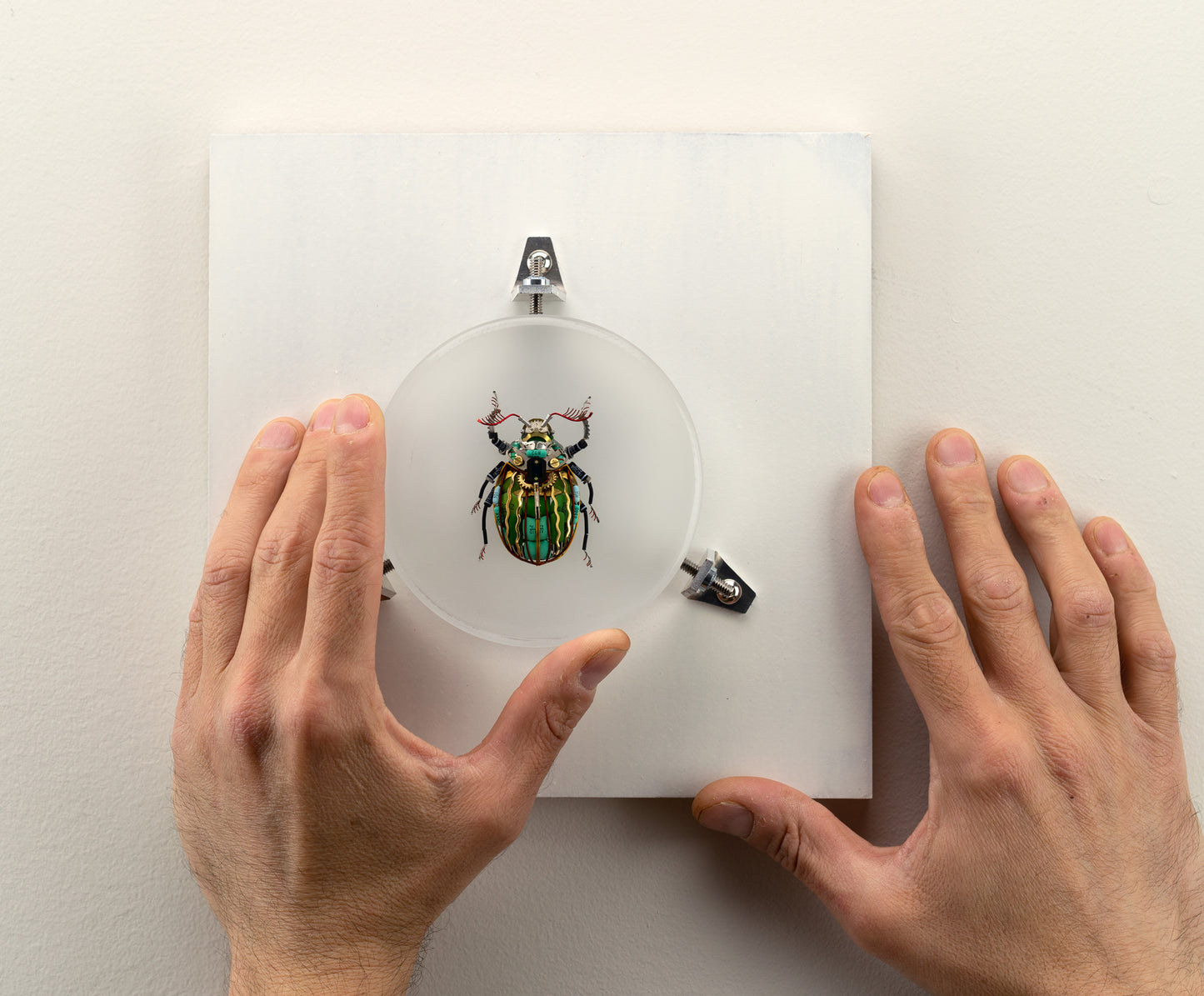 Waterfall Scarab, 2023