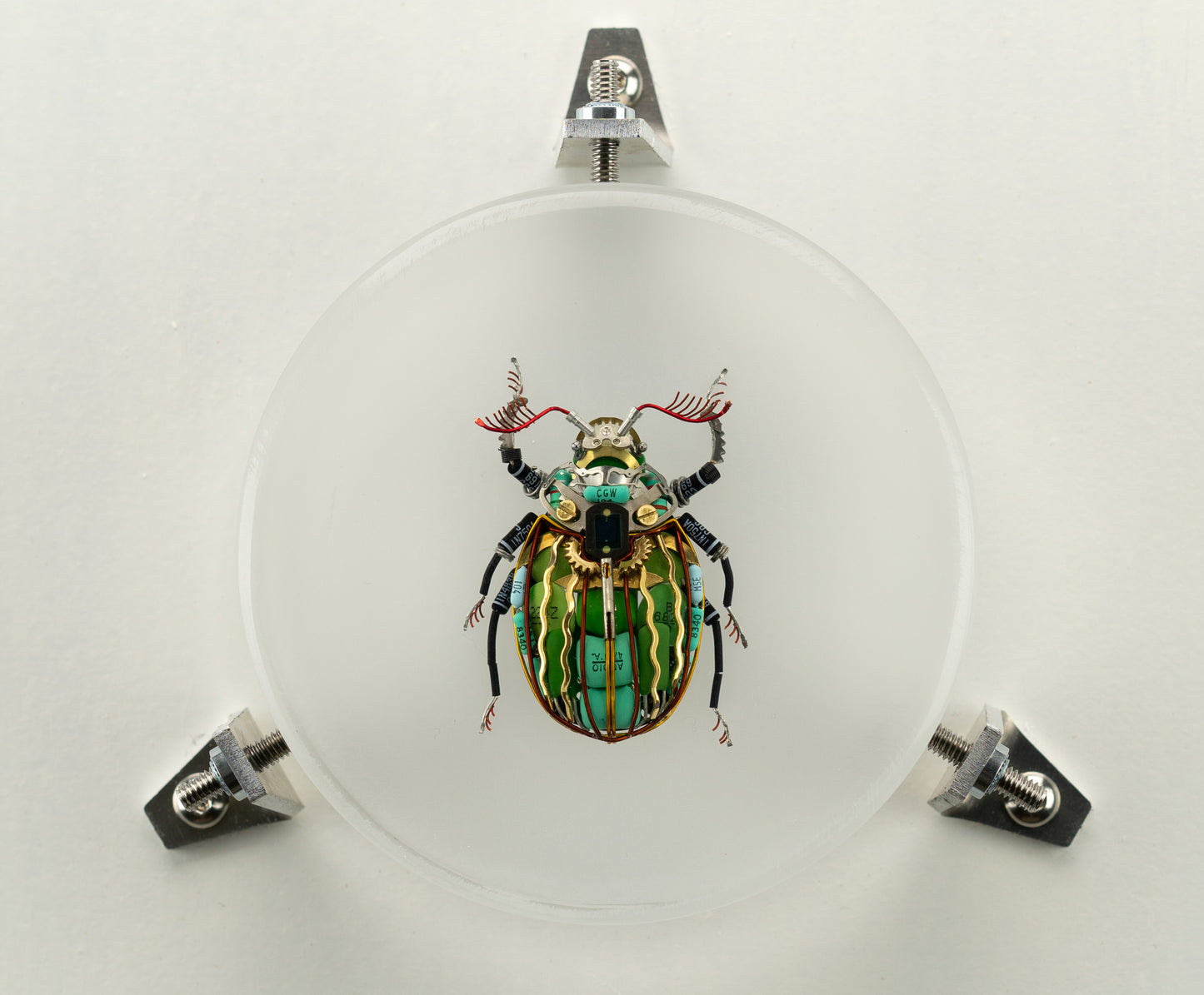 Waterfall Scarab, 2023