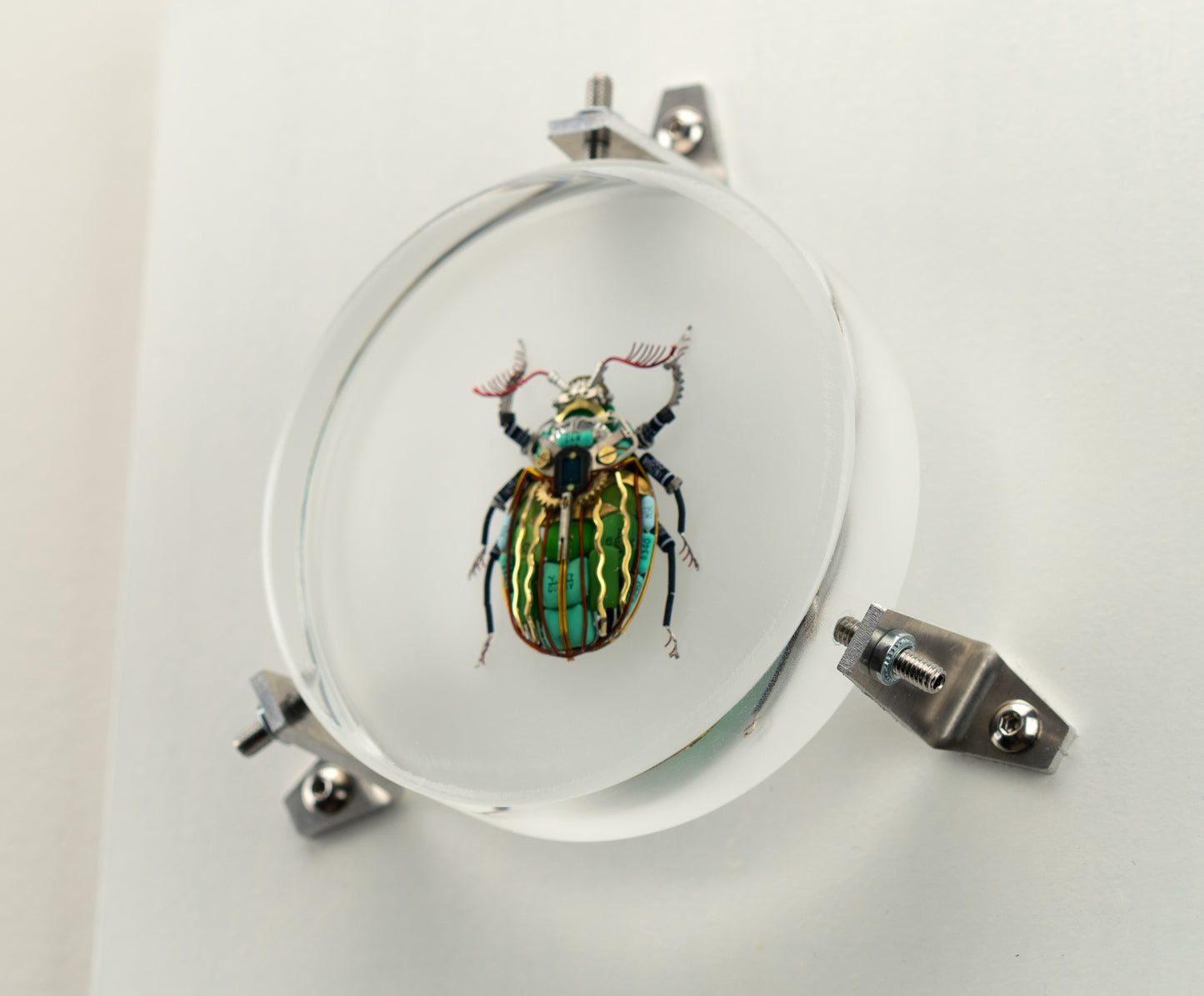 Waterfall Scarab, 2023