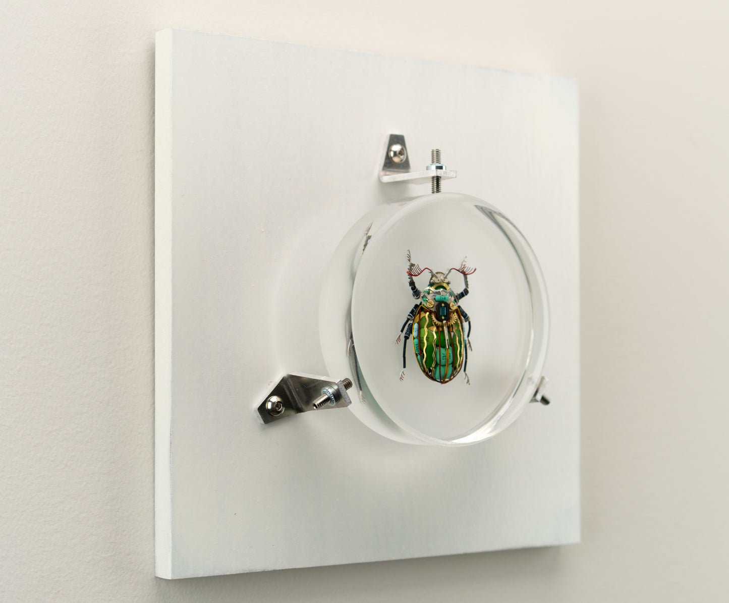 Waterfall Scarab, 2023