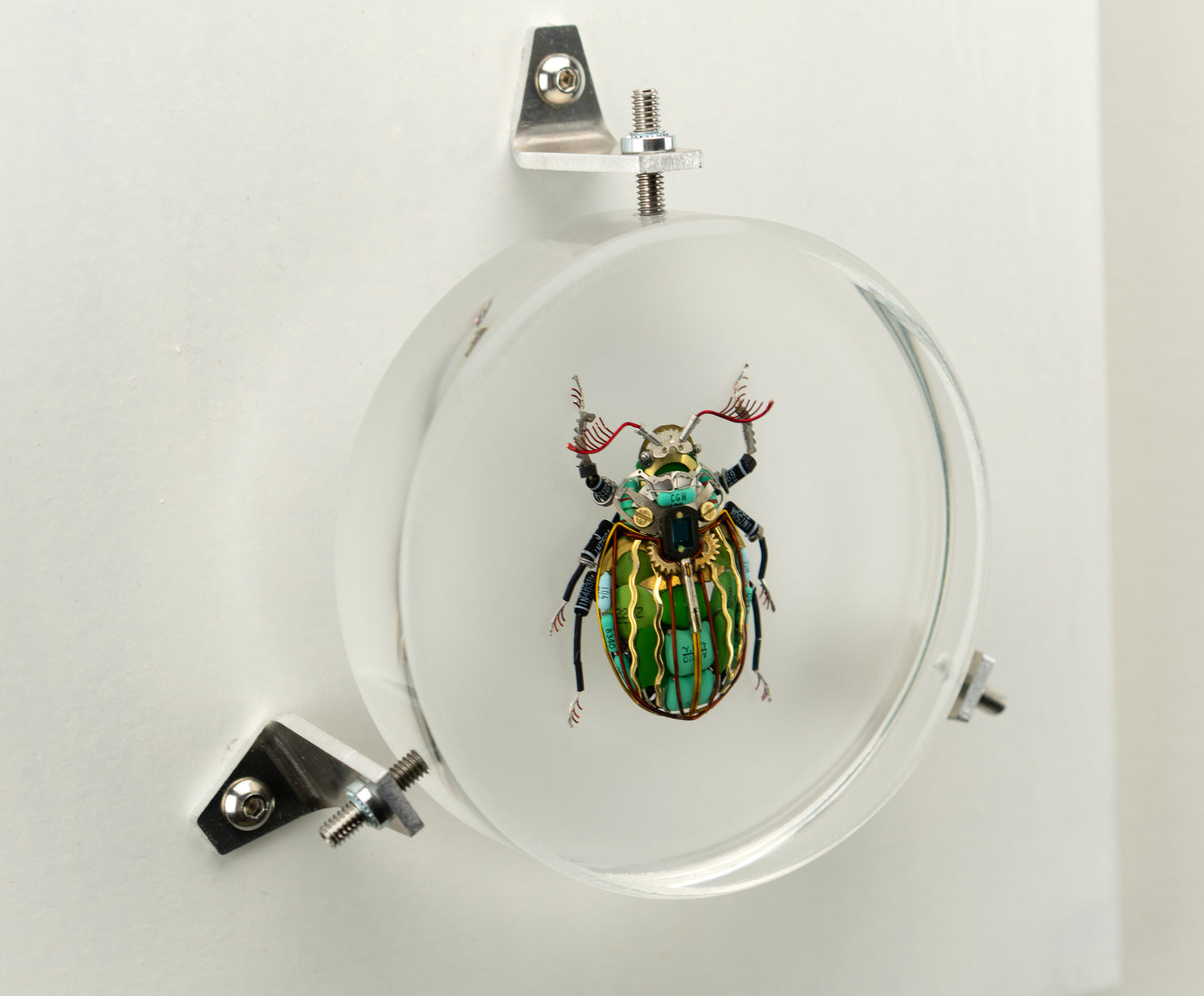 Waterfall Scarab, 2023