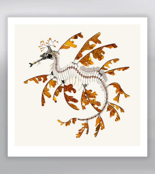 Sea Dragon Signed Fine Art Print (10 x 10)