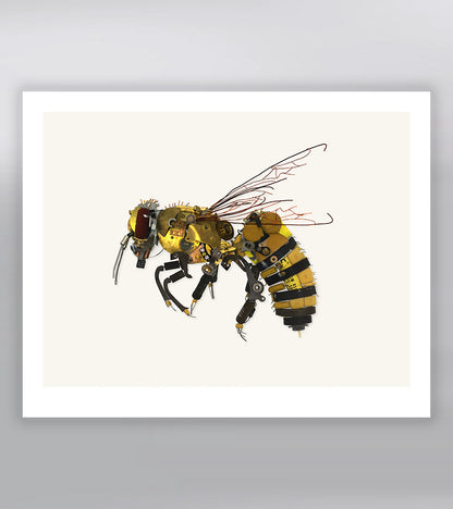 Honey Bee Signed Fine Art Print (8 x 10)