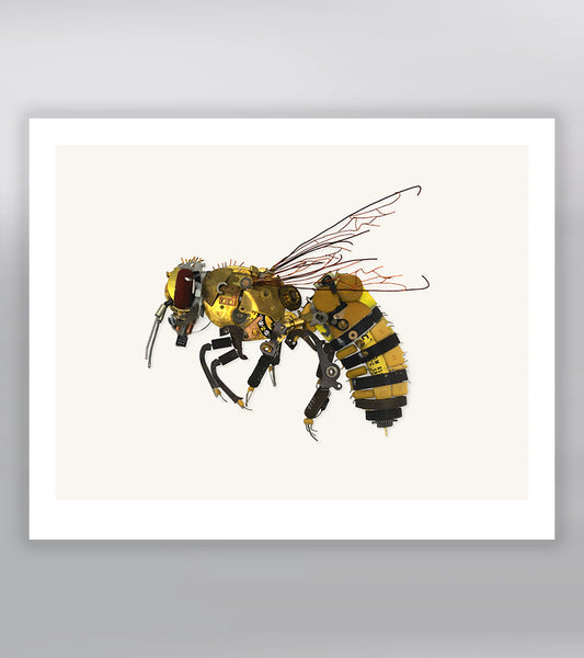 Honey Bee Signed Fine Art Print (8 x 10)