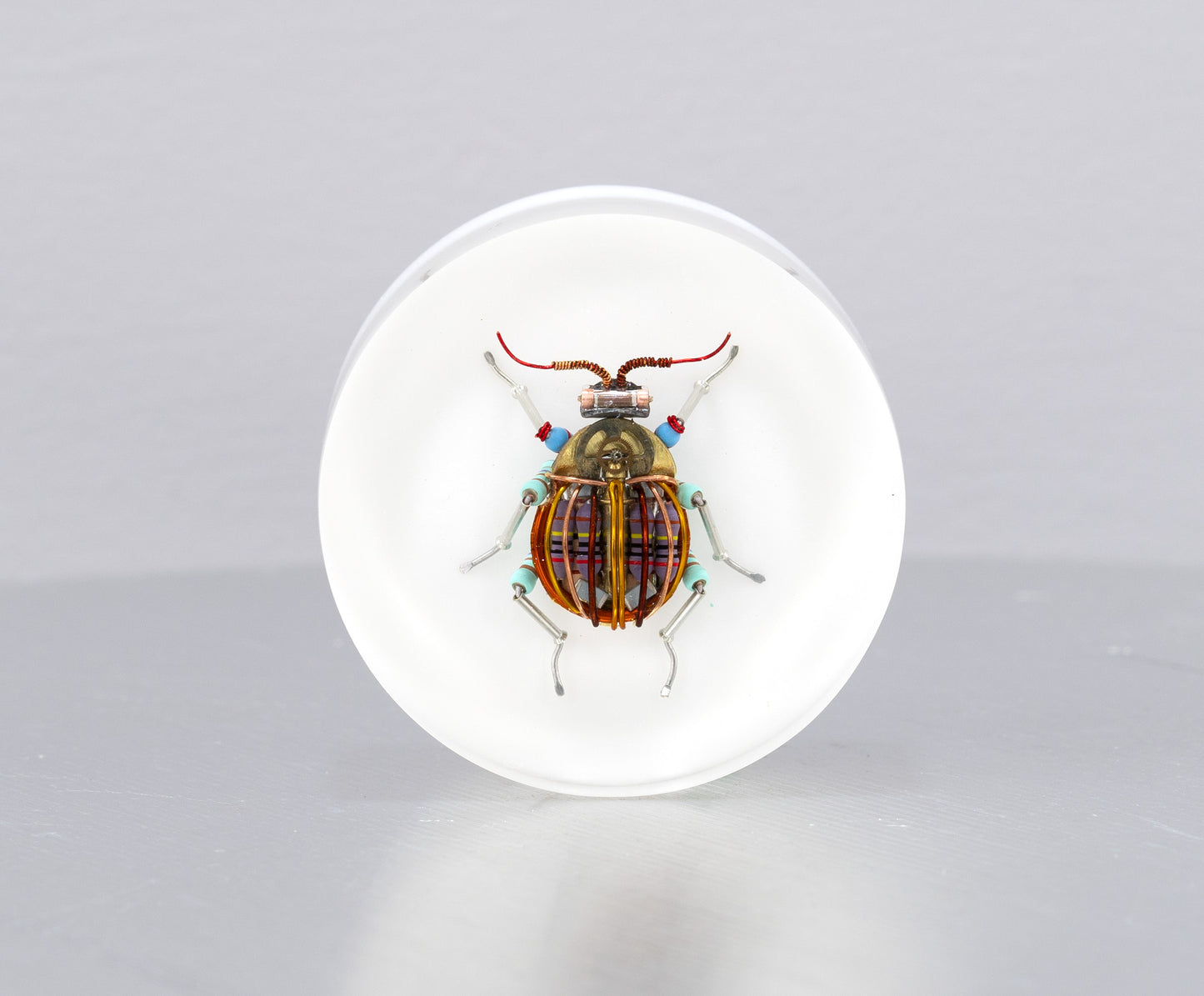 Scarab Beetle (SB07), 2024