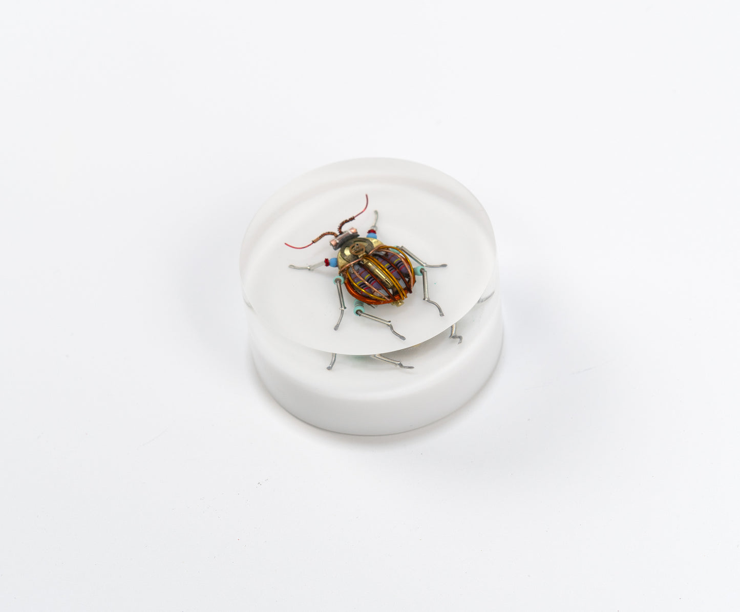 Scarab Beetle (SB07), 2024