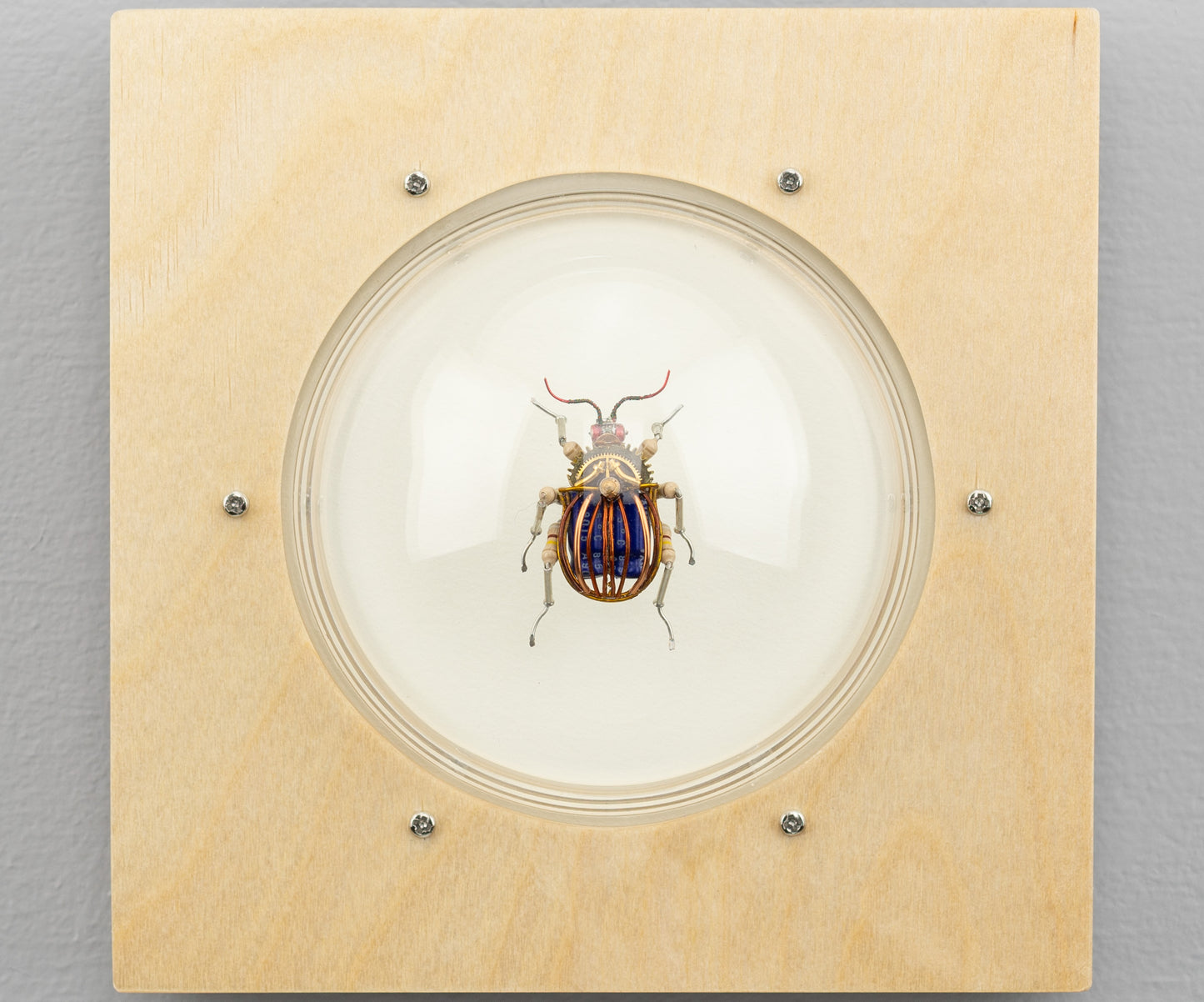 Scarab Beetle (SB09), 2024