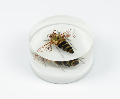 Honey Bee Mini Sculpture, 2024