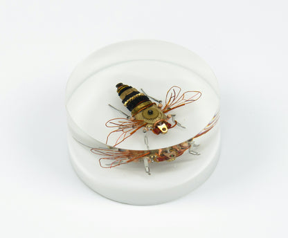 Honey Bee Mini Sculpture, 2024