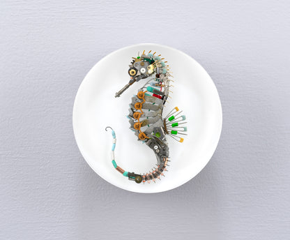 Eclectiletric Seahorse, 2024