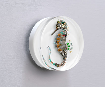 Eclectiletric Seahorse, 2024