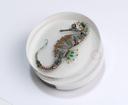 Eclectiletric Seahorse, 2024