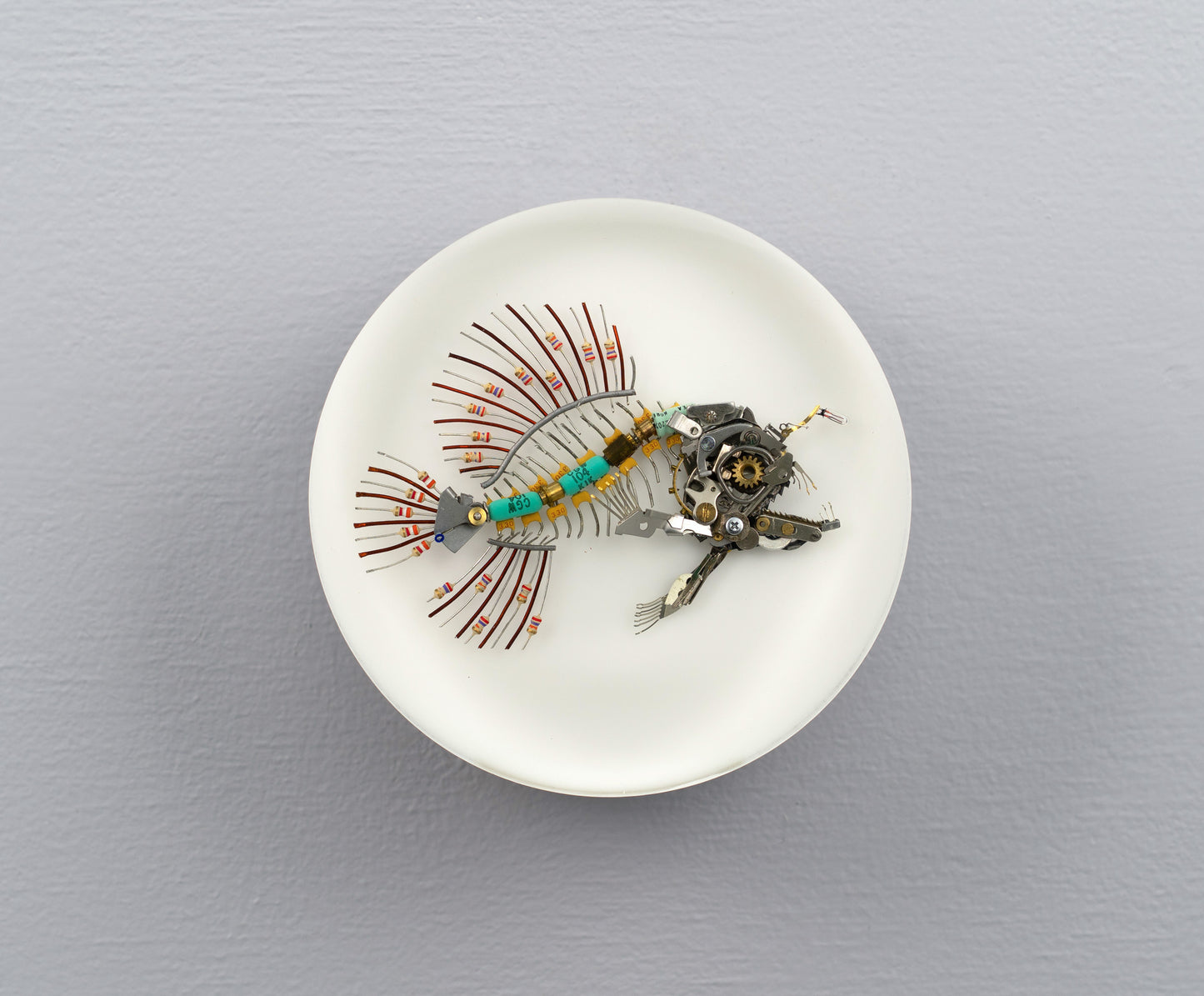 Micro-barb Anglerfish, 2025