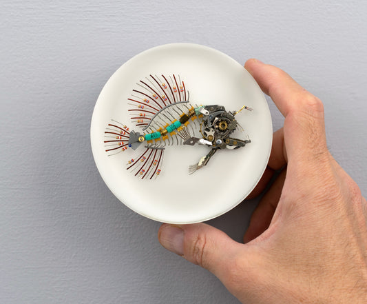 Micro-barb Anglerfish, 2025