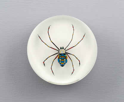 Moontrace Orb-weaver Spider, 2025