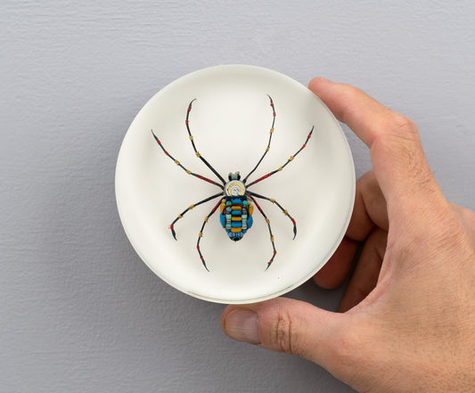Moontrace Orb-weaver Spider, 2025