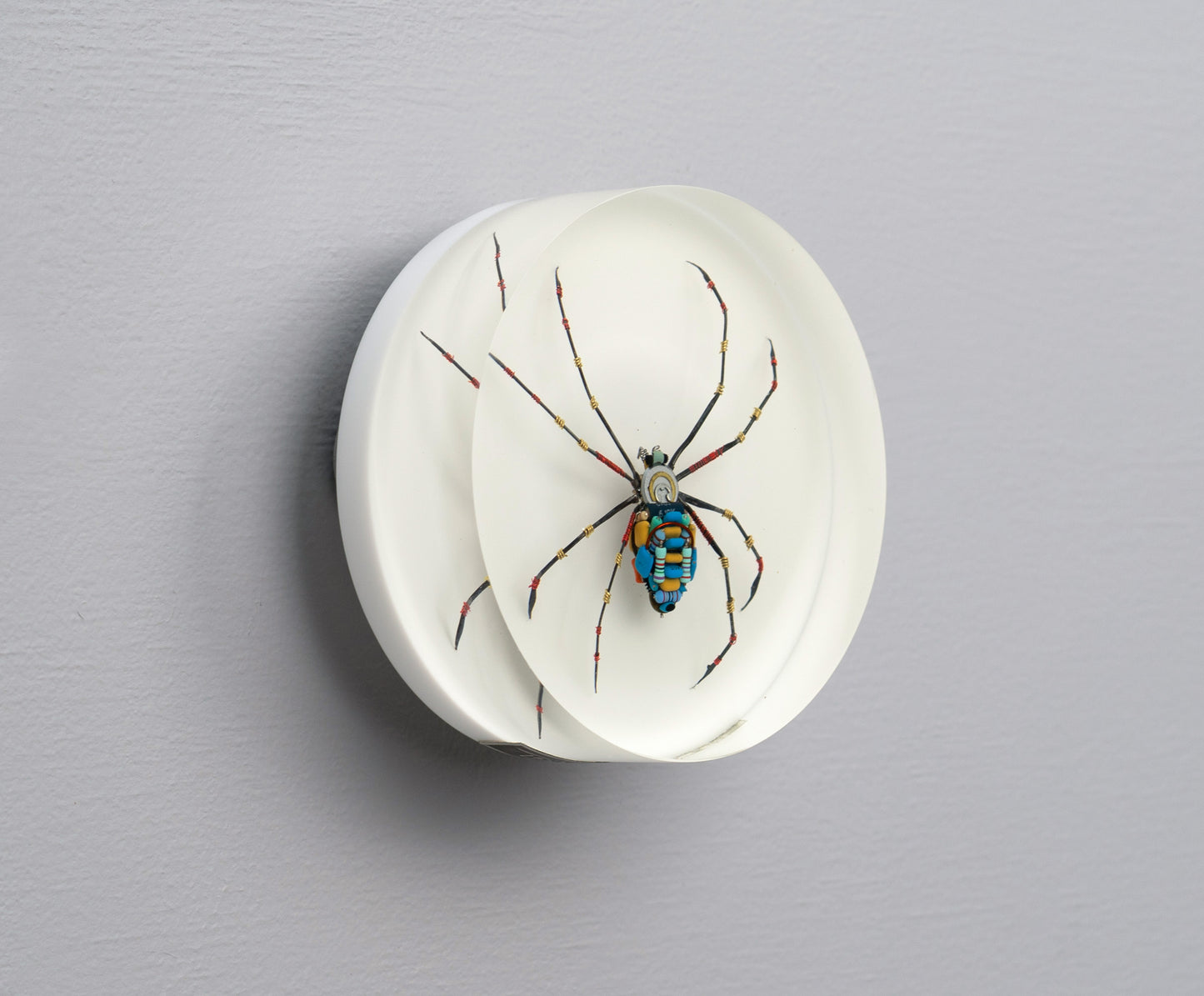 Moontrace Orb-weaver Spider, 2025