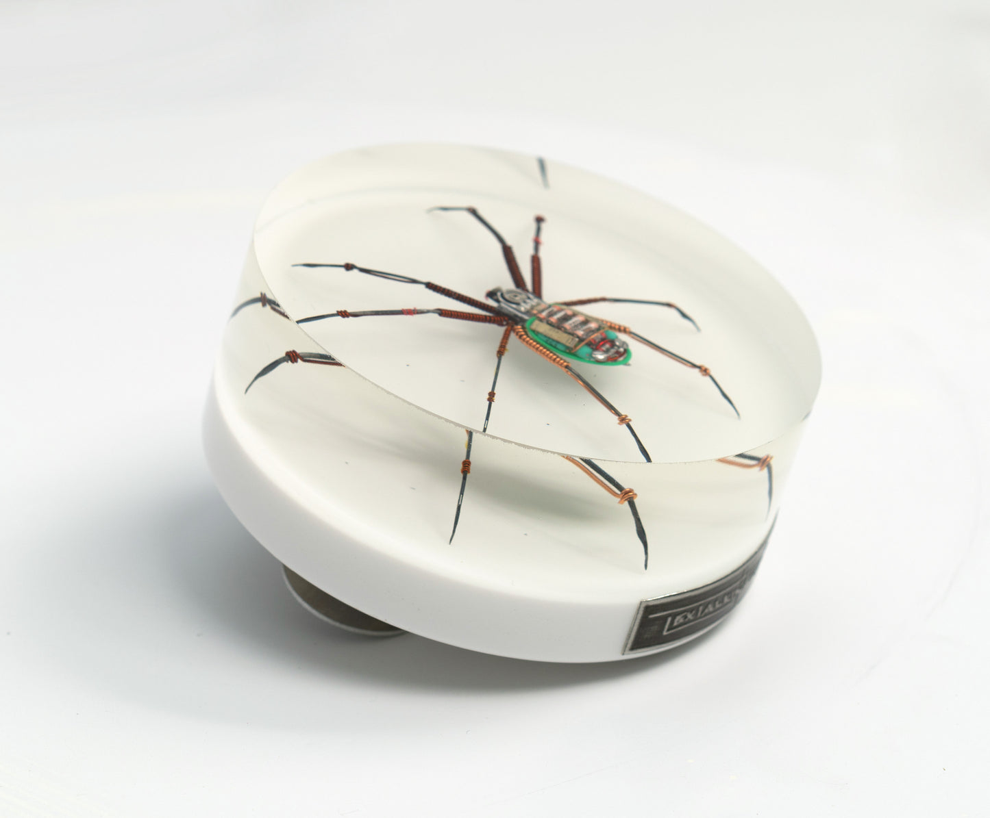 Copper Core Spider, 2025