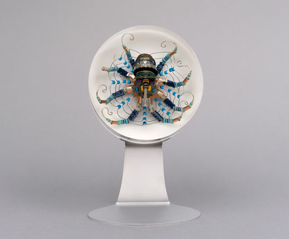 Chrysanthemum Octopus, 2026