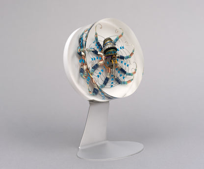 Chrysanthemum Octopus, 2026