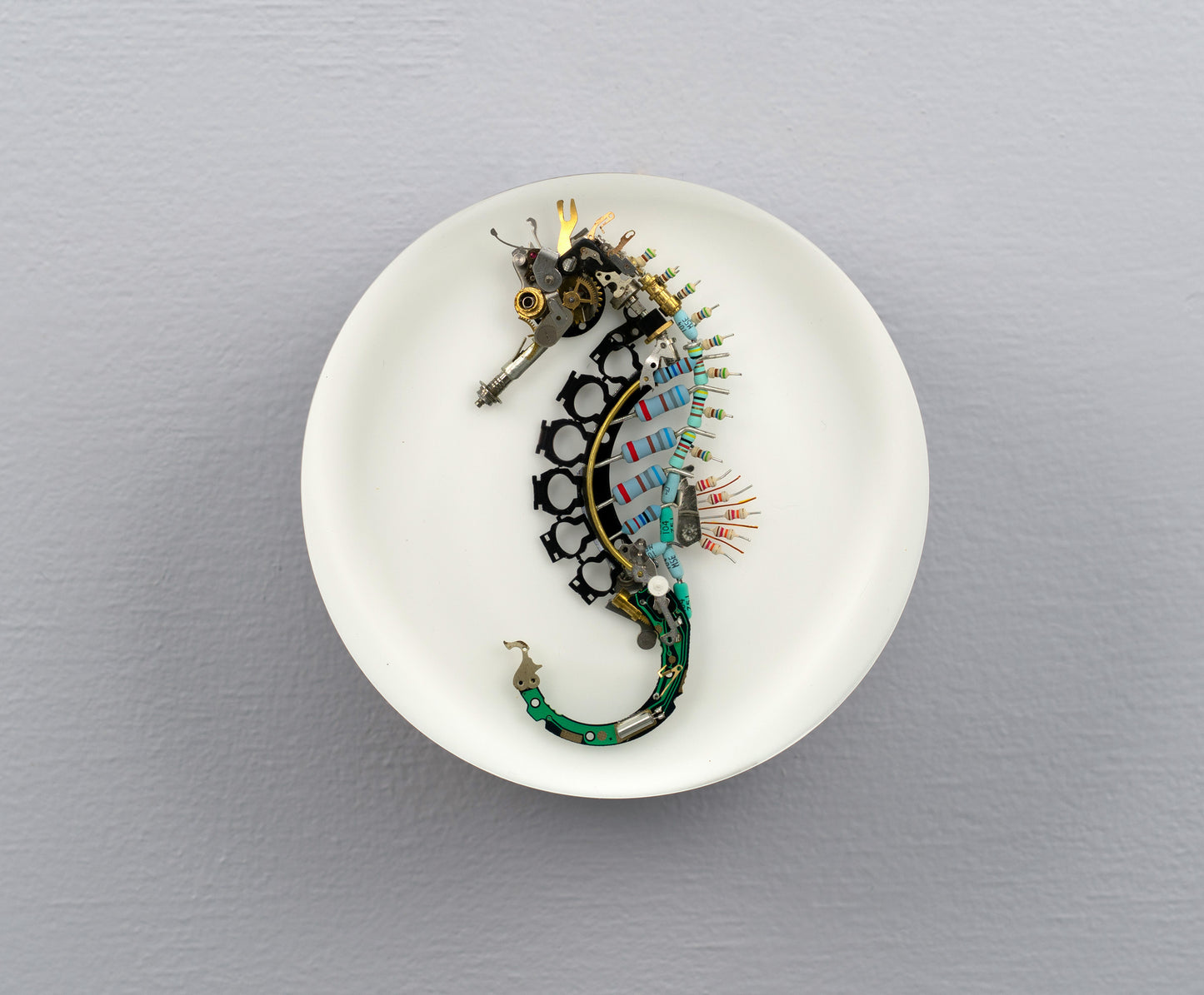 Key-hinge Seahorse, 2025