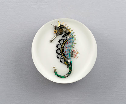 Key-hinge Seahorse, 2025