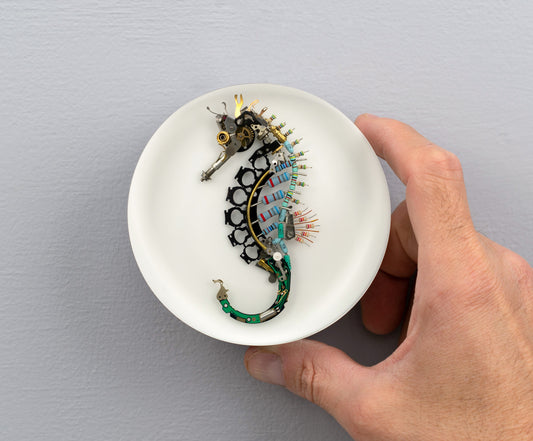 Key-hinge Seahorse, 2025