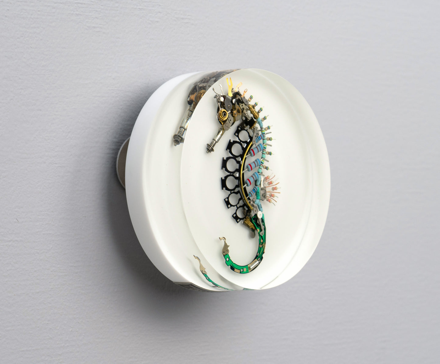 Key-hinge Seahorse, 2025