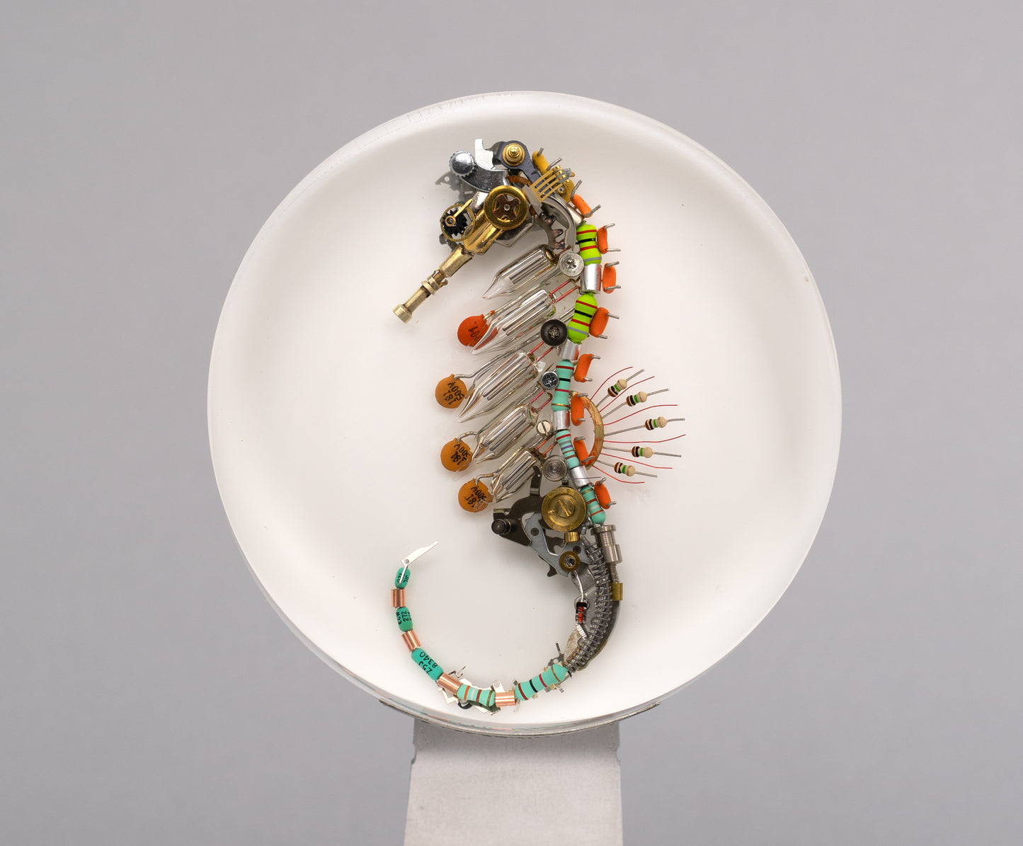 Citrus-Luminous Seahorse, 2026
