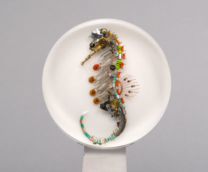 Citrus-Luminous Seahorse, 2026