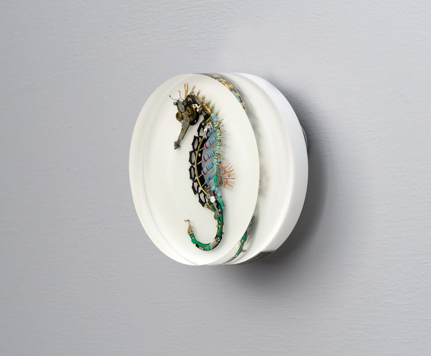 Key-hinge Seahorse, 2025