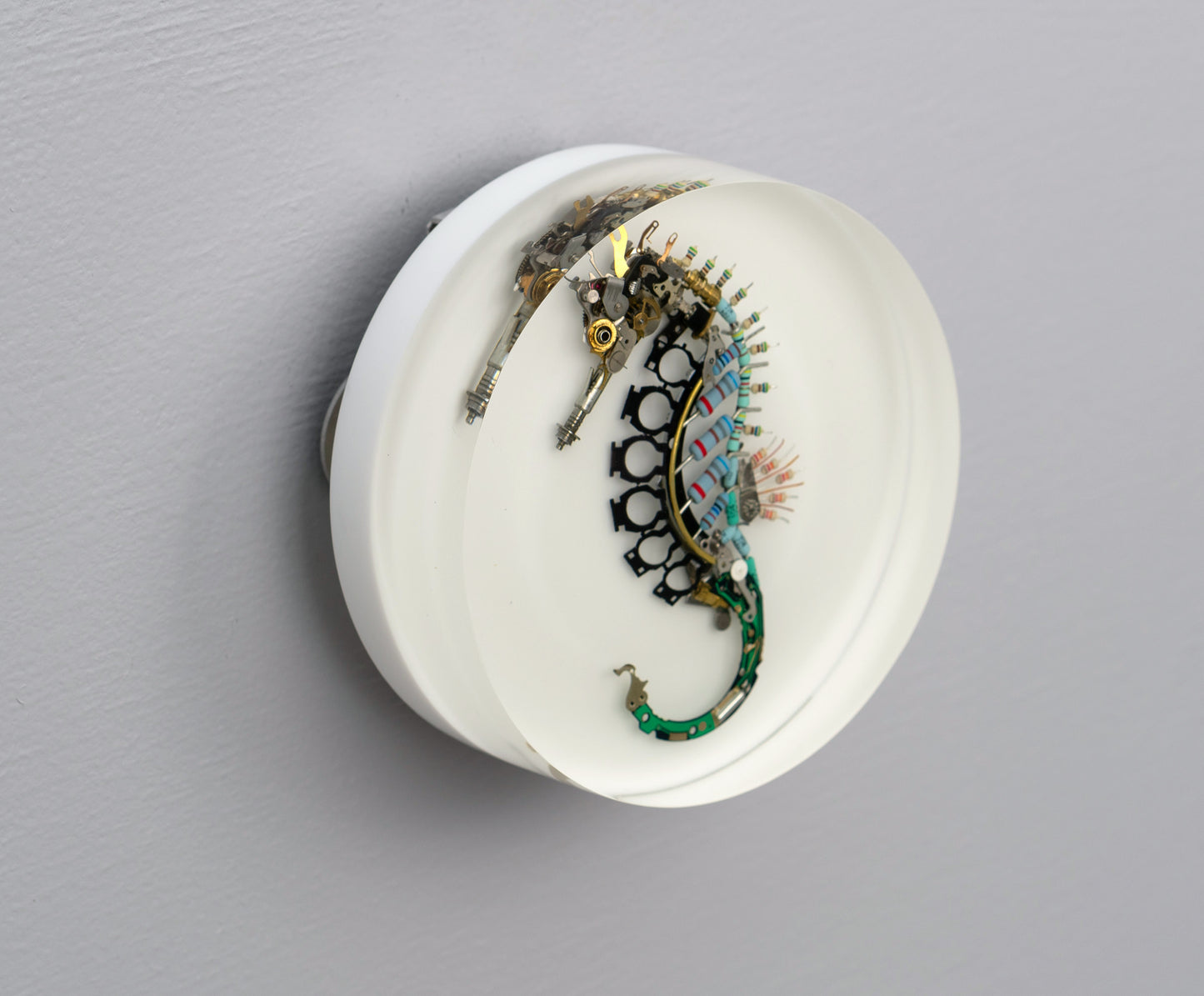 Key-hinge Seahorse, 2025