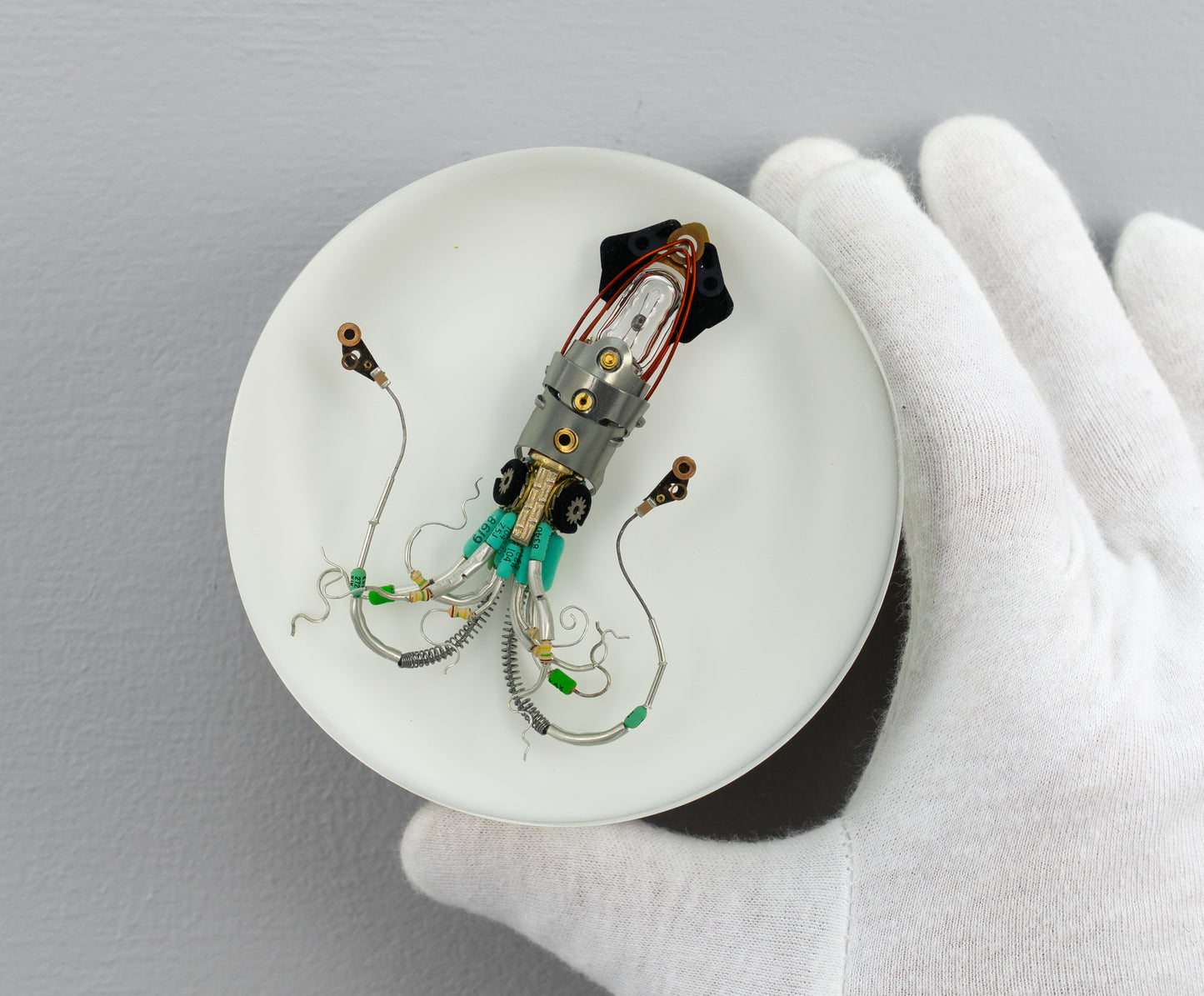 Sea Baby Squid, 2025