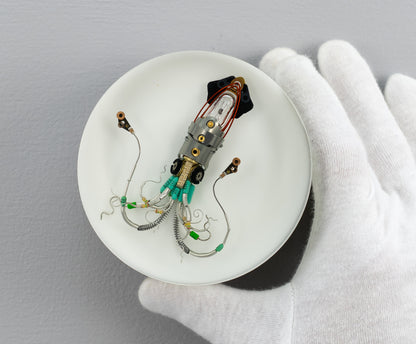 Sea Baby Squid, 2025