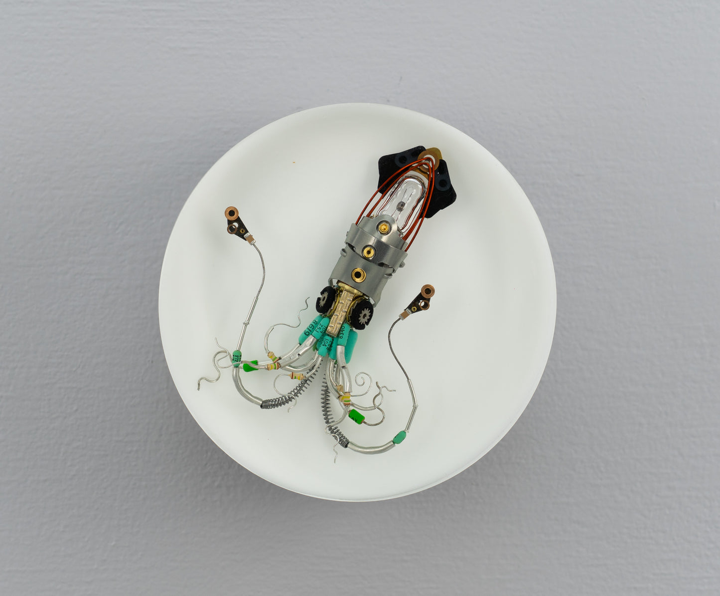 Sea Baby Squid, 2025