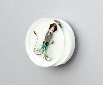 Sea Baby Squid, 2025