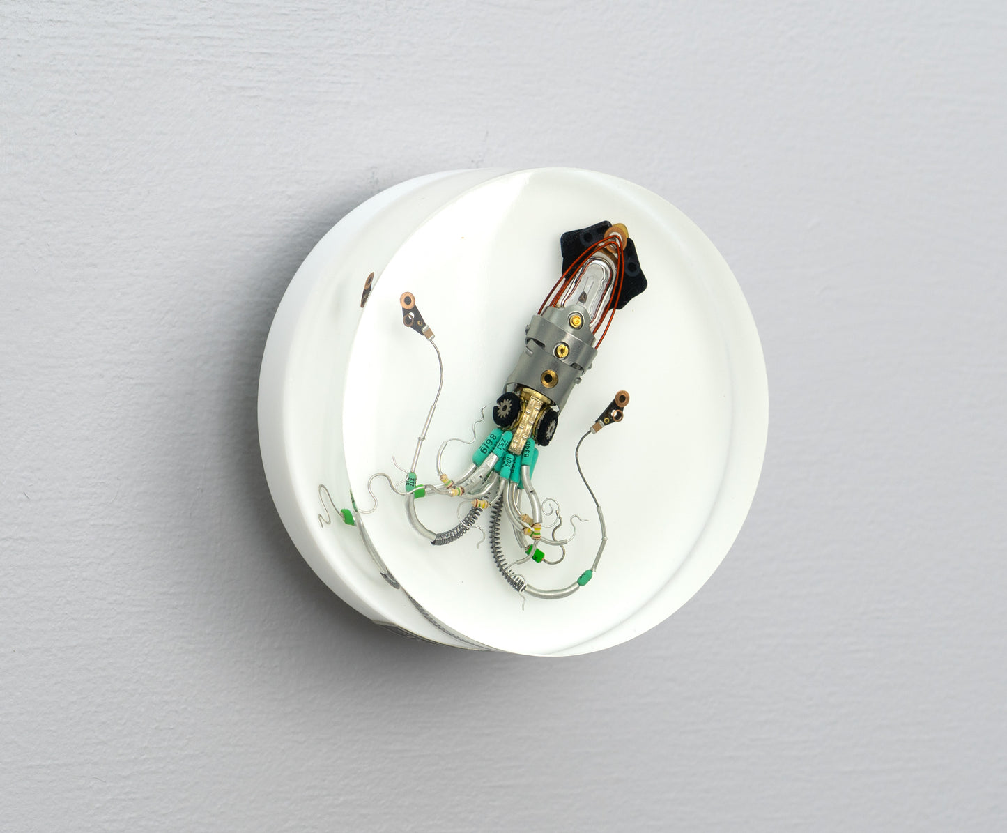 Sea Baby Squid, 2025