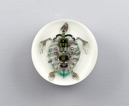Pocket Turtle, 2025